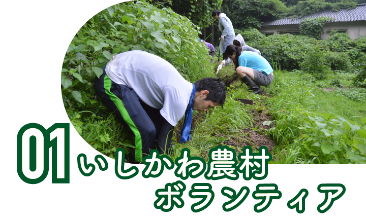 いしかわ農村ボランティア