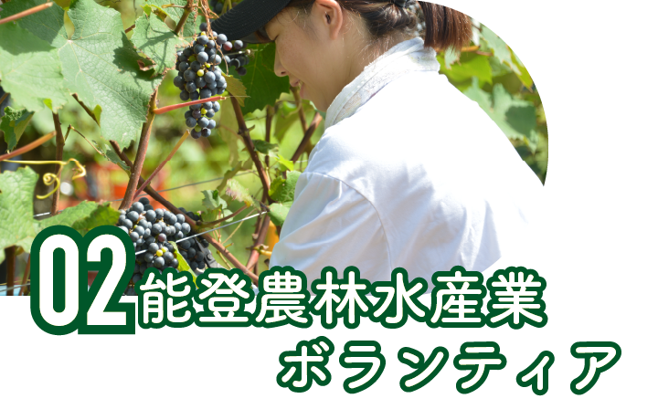 能登農林水産業ボランティア